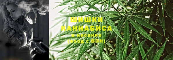 винт Белокуриха