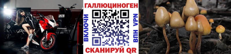 кракен ТОР  даркнет сайт  Коряжма  Псилоцибиновые грибы мицелий 